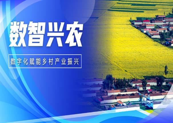 数智兴农 ky开元系统打造县域农业产业发展新动能